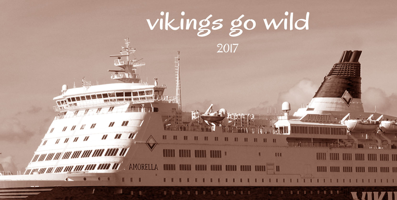 vikings go wild2